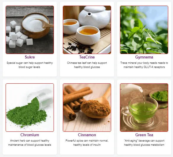 Ingredients Of Gluco6